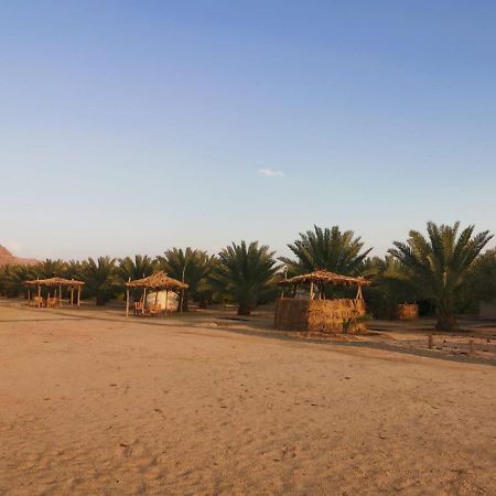 Almazham Camp Resort العلا المظهر الخارجي الصورة
