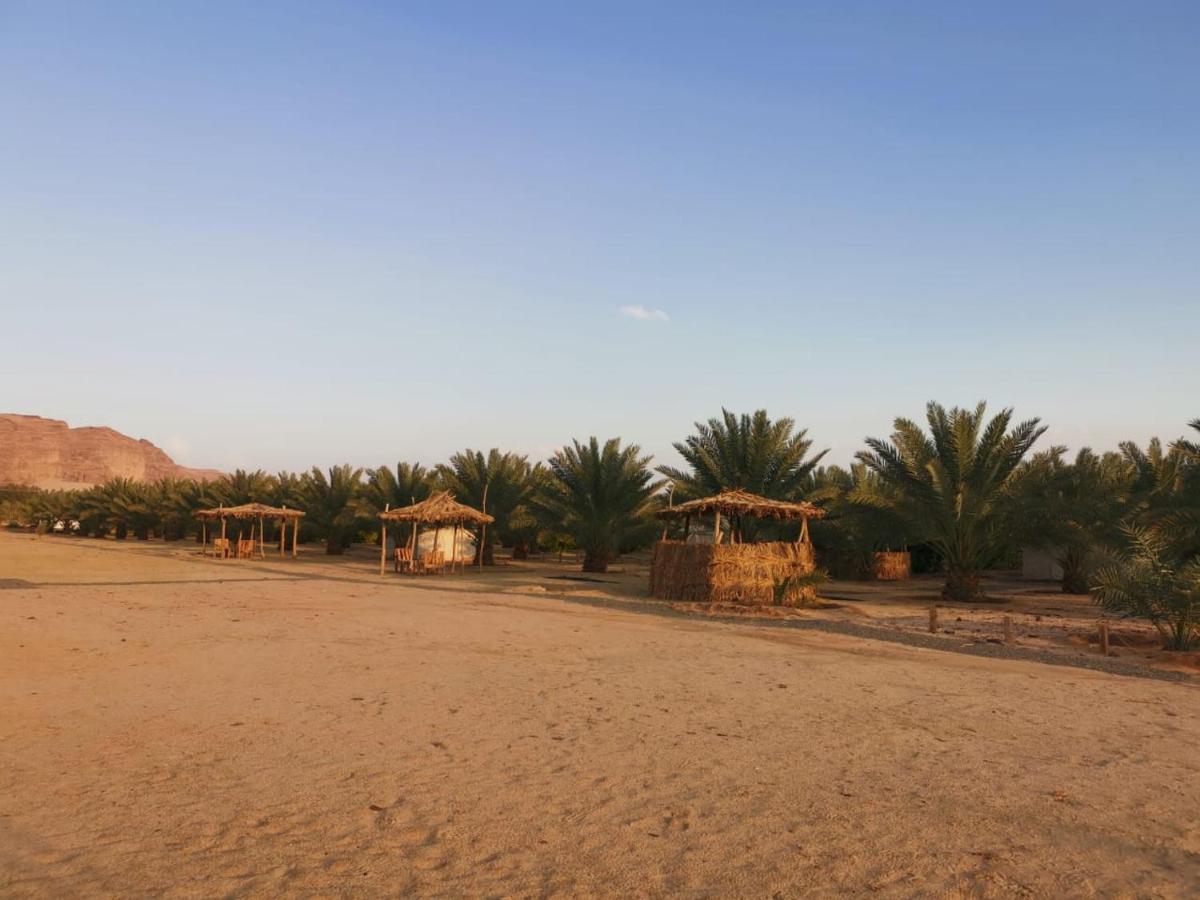 Almazham Camp Resort العلا المظهر الخارجي الصورة