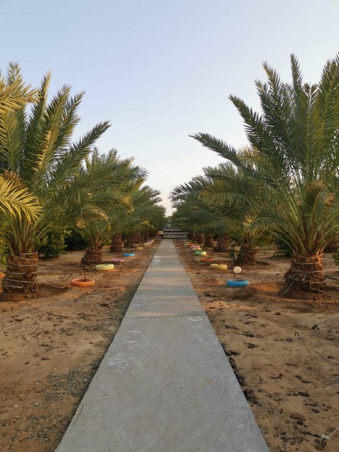 Almazham Camp Resort العلا المظهر الخارجي الصورة