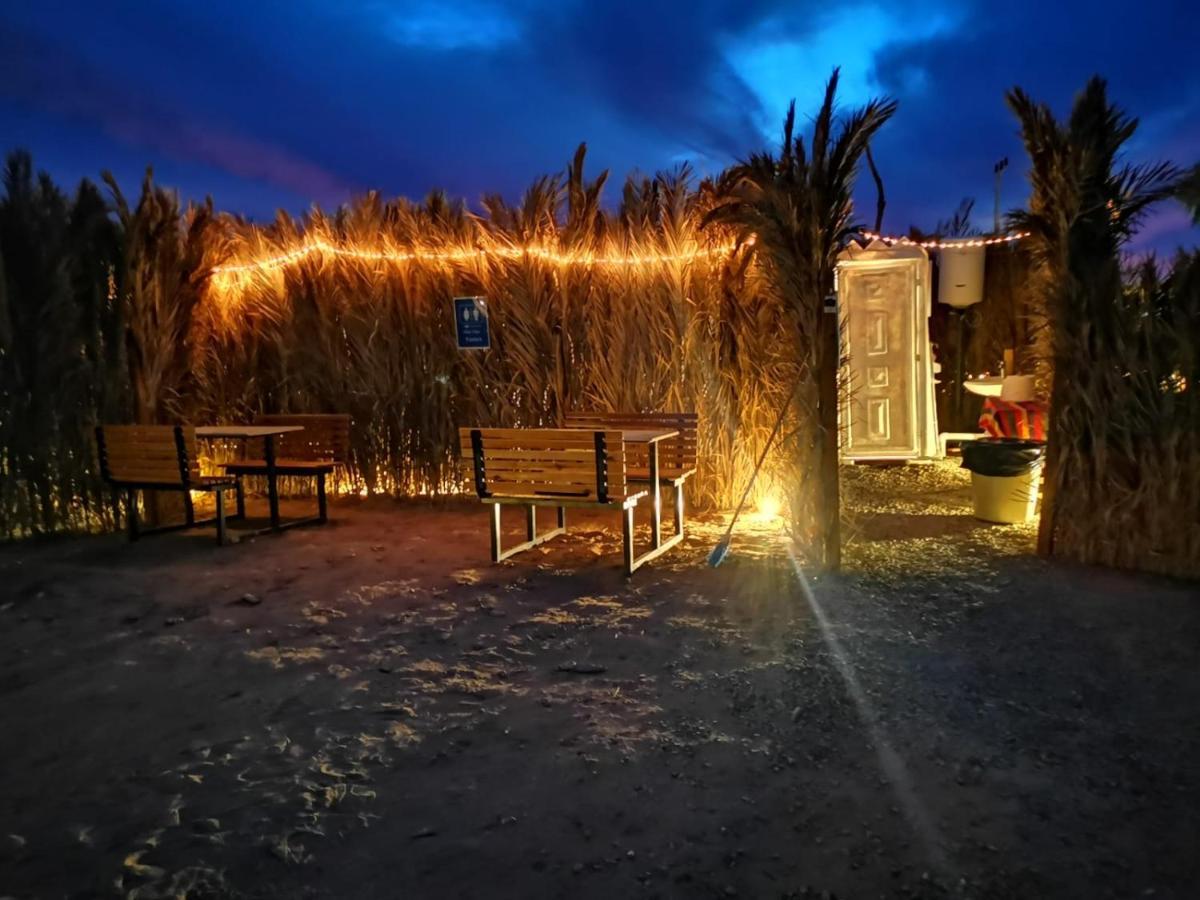 Almazham Camp Resort العلا المظهر الخارجي الصورة