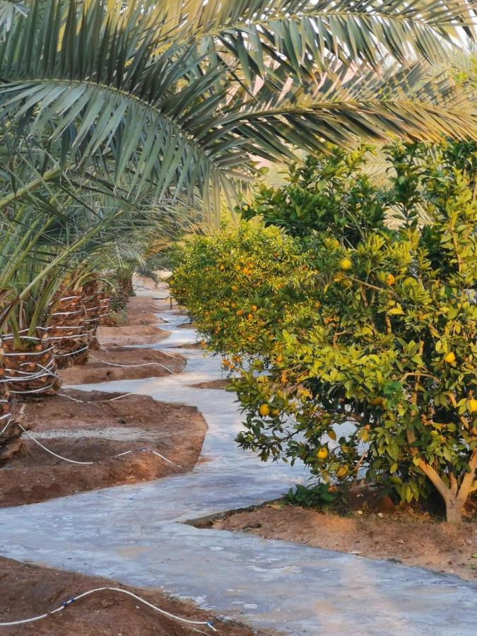 Almazham Camp Resort العلا المظهر الخارجي الصورة